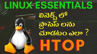 What Linux process are running in background  | Linux Essentials | Telugu