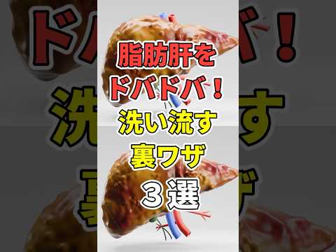 脂肪肝をドバドバ洗い流す裏ワザ！【NAFLD/肝硬変/肝がん/脂肪肝】#shorts #脂肪肝