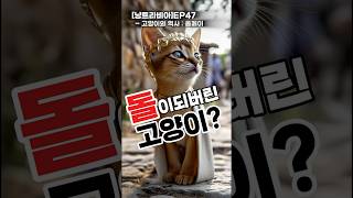고양이가 돌이 됐다고? | 냥트라비아 EP.47