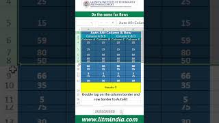 AutoFit Column & Rows | Excel trick #8