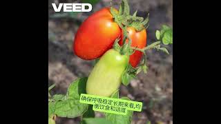 如何通过自然方法平衡血液pH？