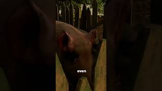 "If a Pig Stares at You... RUN!".. #animation#trending  #popular