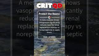 Protect the Beans!
