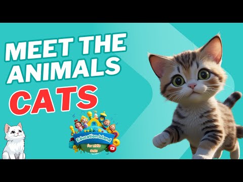 I’m a Cat 🐱 | Meet the Animals Series | Preschool Songs for Kids | Cute Cat Song