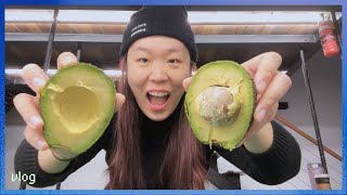 sydney travel vlog | what its like remote working while on holiday, cooking asmr