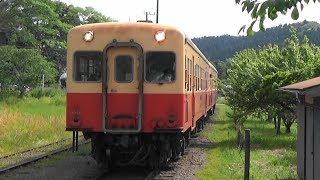 【キハ200形】小湊鉄道 高滝駅に五井駅行き到着
