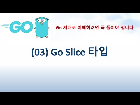 (Go 03) Go Slice 타입