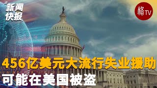 456亿美元的大流行失业援助可能在美国被盗