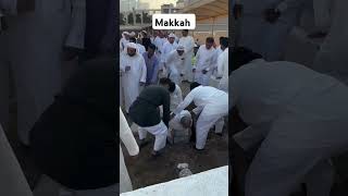 #Allah #makkahlive #madinahlive #makkah #madina #shorts #hajj #shortvideo Ramadan #mecca #viral