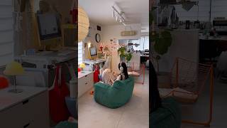 上の▶︎関連動画からルームツアー動画が見れます🧸📚【賃貸模様替え】IKEAファブリコールガラスコレクションケース・広々リビングにチェアがたくさんの部屋｜#賃貸#インテリア#interior