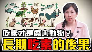 吃素才是真正傷害動物？長期影響比你想的還可怕！［35］劉小草