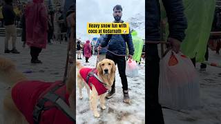 Coco heavy snow fun at Kedarnath 🐶! Kedarnath Yatra with dog | bike ride with dog @himalayanamit