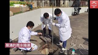 研究發現：港日排2百多億微塑膠入海　雨水渠含高濃度塑化劑