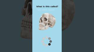 English Vocabulary #englishvocabulary #englishvocabularyforbeginners #englishwords #shorts