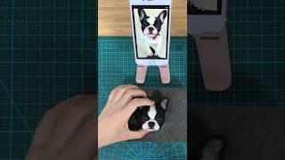 Hug your pet again👉https://www.pethandmade.com/products/pet-clone-revive-your-pet #fyp #diy #dog