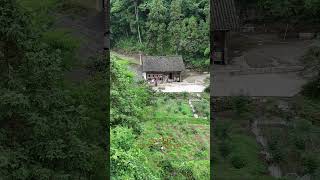 如果一個月給你一萬塊，讓你住在這裏五年不出山，有電有網絡，有愛人相伴！你能在這裏住多久呢 ？#山青水秀好地方 #隱居 #世外桃源