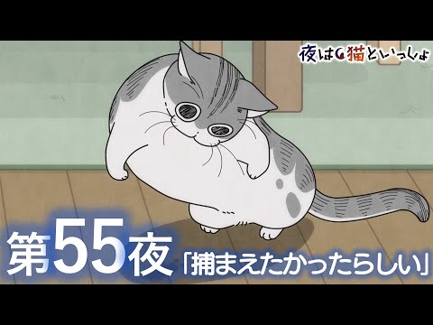 アニメ『夜は猫といっしょ』第55夜「捕まえたかったらしい」