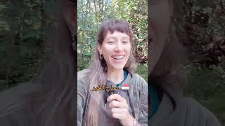 Starting the Day in 7 Languages