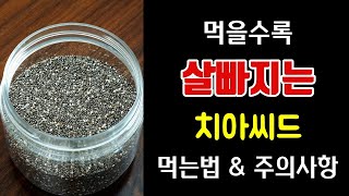 뱃살 쏙 빠지는 치아씨드 먹는법, 주의사항, 레시피 총정리!
