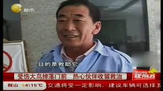 受伤大鸟掉落门前，热心保安收留救治，不吃不喝急人！
