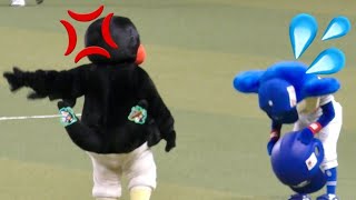 中日チアにキレるつば九郎。謝罪して教育しに行くドアラ