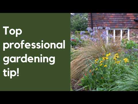 RIGHT Plant WRONG Place Garden Micro-Climate Secrets Revealed!