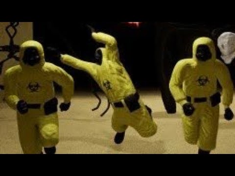 味方が本物かどうかはいい声か否かで判断しろ【Escape the Backrooms】#3