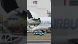 Whale of the Skies: Airbus Beluga ✈️🐋