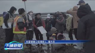 環團勘查大潭海草礁生態 發現珊瑚礁面積縮小 | 公視台語台 | 20231229