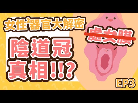 一戳就破？判斷貞潔？陰道冠 (處女膜) 傳說快滾開！女性性器官大解密 【U聊性教育 EP3】