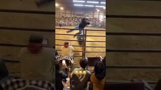 Funny fails #funny #funnyvideos #codemy