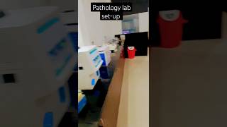 pathology lab set-up work #lab teachnician motivation video #viral #medical #lab#phd #status#shorts