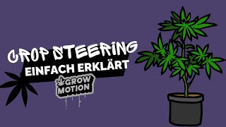 Crop Steering leicht erklärt: Maximale Erträge durch gezielte Steuerung | Ben Green Tipps