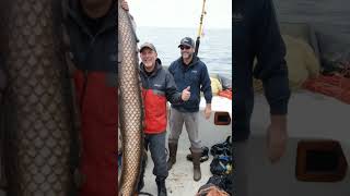 Caught in the Net Mysterious Sea Monster Revealed! #seamonster #sea #ocean #fishing
