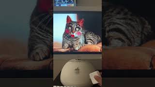 Attempting a Bluetooth connection on my iMac G4. Not sure about it #shortvideo #bluetoothconnection
