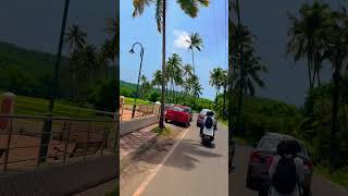 Parra road🌳#goa #youtubeshorts #viralvideo #songs #parraroad