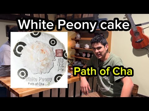 White Peony 100g cake by Path of Cha #tea #chinesetea #cha #gongfucha