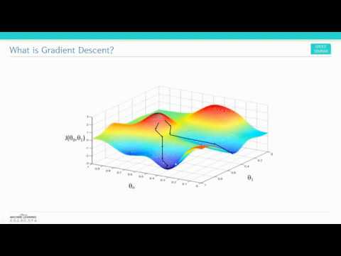 [딥러닝논문리뷰] Strong Convexity on Gradient Descent and Newton's Method