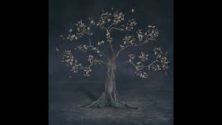 AURORA - Encrypted Love