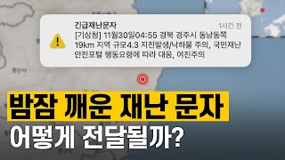 [핫클립] 재난 문자는 어떻게 전달될까? / YTN 사이언스