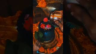 mere zakhmo pe marham mahakal 🕉️🌸💞 #mahadevstatus #mahakal #mahadev #sawan #2024