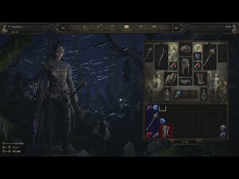 Path of Exile 2 [PS5]_game play witch 4