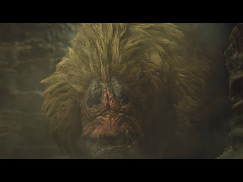 討伐闢獸　PS5 魔物獵人荒野　Monster Hunter Wilds