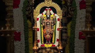 Jai Venkateswara #bhaktivibes #song #hindugod #ytshorts #shorts