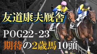 【pog22-23】銀河系軍団！友道康夫厩舎 期待の2歳馬10頭を紹介します！【2歳馬】