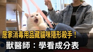 居家消毒用品藏貓咪隱形殺手！　獸醫師：學看成分表－民視新聞