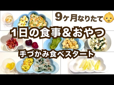【9ヶ月赤ちゃん】1日の食事とおやつ 冷凍ストックを活用 手づかみ食べスタート【直前の準備風景】Baby food preparation 9 months baby