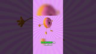 The Donut Song | Nursery Rhymes | Baby Song | Donuts Like Dancing | Kids Song |  #baby #kidsvideo