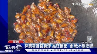 油炸「 荔枝樁象 」！林業署 推食蟲活動 衛生局現場查:未提供食用｜TVBS新聞 健康2.0 @tvbshealth20