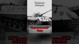 "Королевский" Тигр #танк  #танки #история #истории #history #ссср #война #новости #
